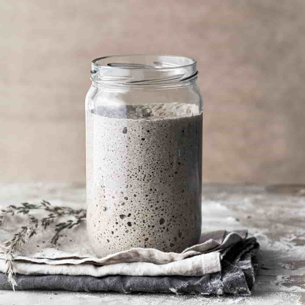 sour dough starter easy recipe