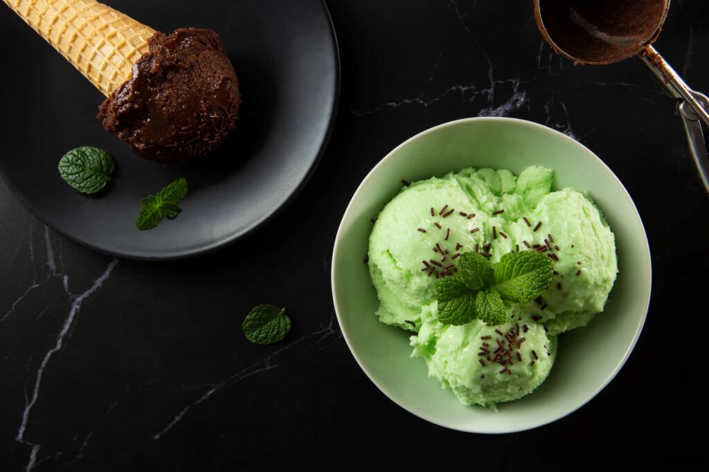 Mint Chocolate Chip Ice Cream