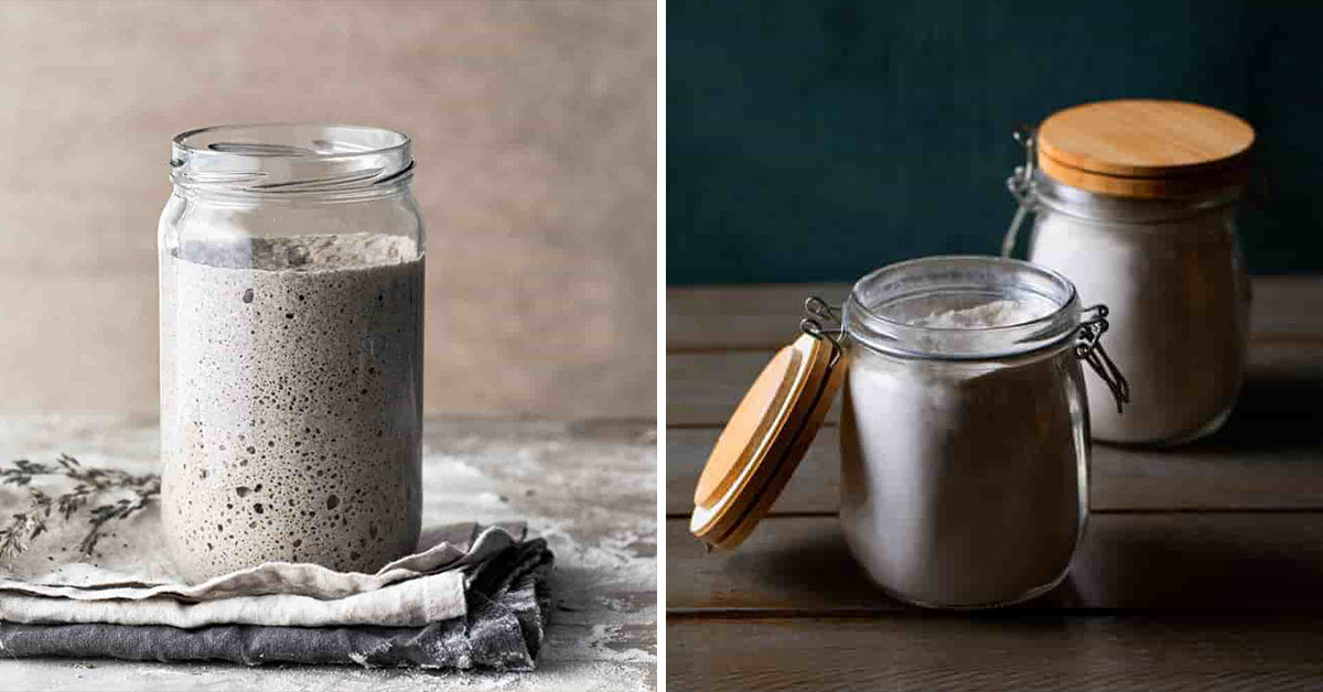 sour dough starter easy recipe