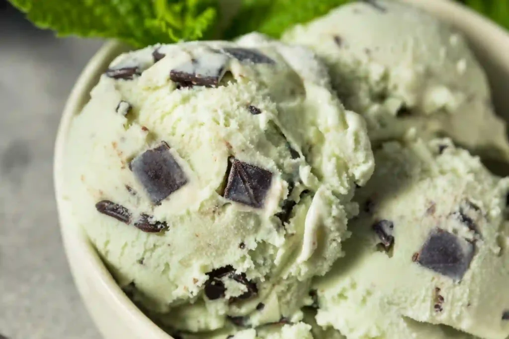 Mint Chocolate Chip Ice Cream